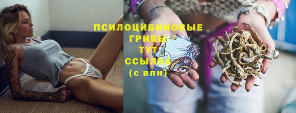 гашиш Богородицк