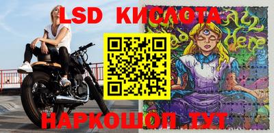 шишки Ирбит