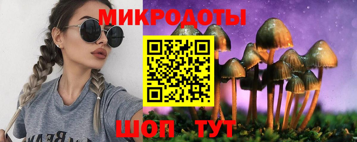 Псилоцибиновые грибы Cubensis  Вход с VPN  Свободный 