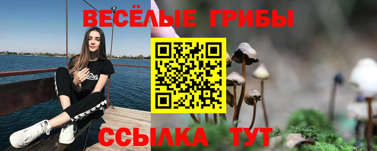 Галлюциногенные грибы MAGIC MUSHROOMS Свободный