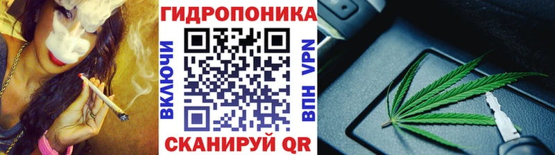 как найти закладки  Свободный  Каннабис марихуана 