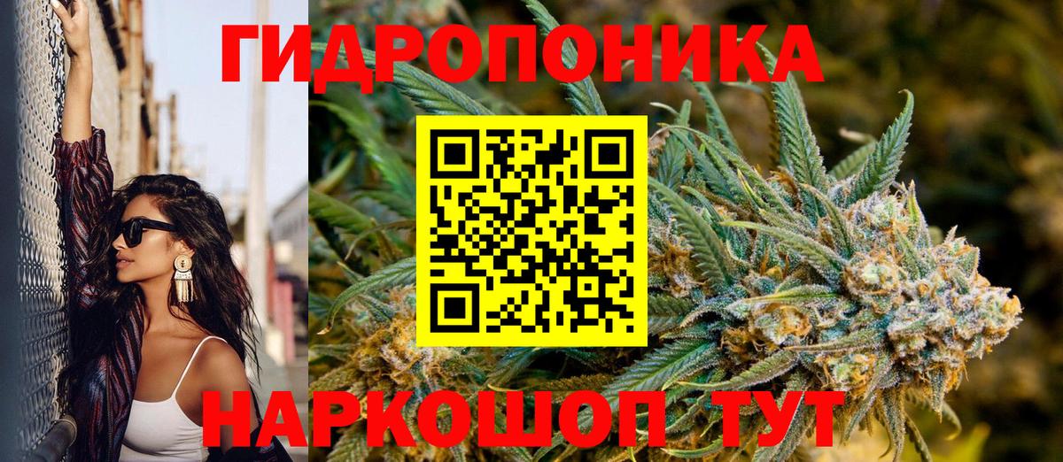 Бошки марихуана индика Свободный